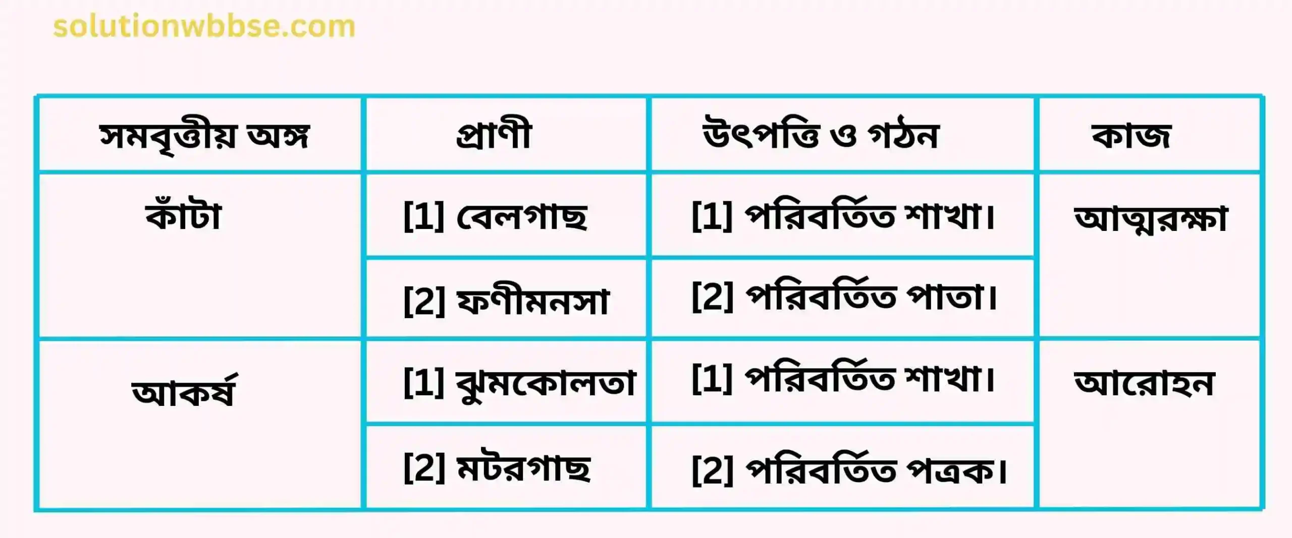 মাধ্যমিক জীবন বিজ্ঞান – অভিব্যক্তি ও অভিযোজন – অভিব্যক্তি – রচনাধর্মী প্রশ্নোত্তর 17 উদ্ভিদের সমবৃত্তীয় অঙ্গ