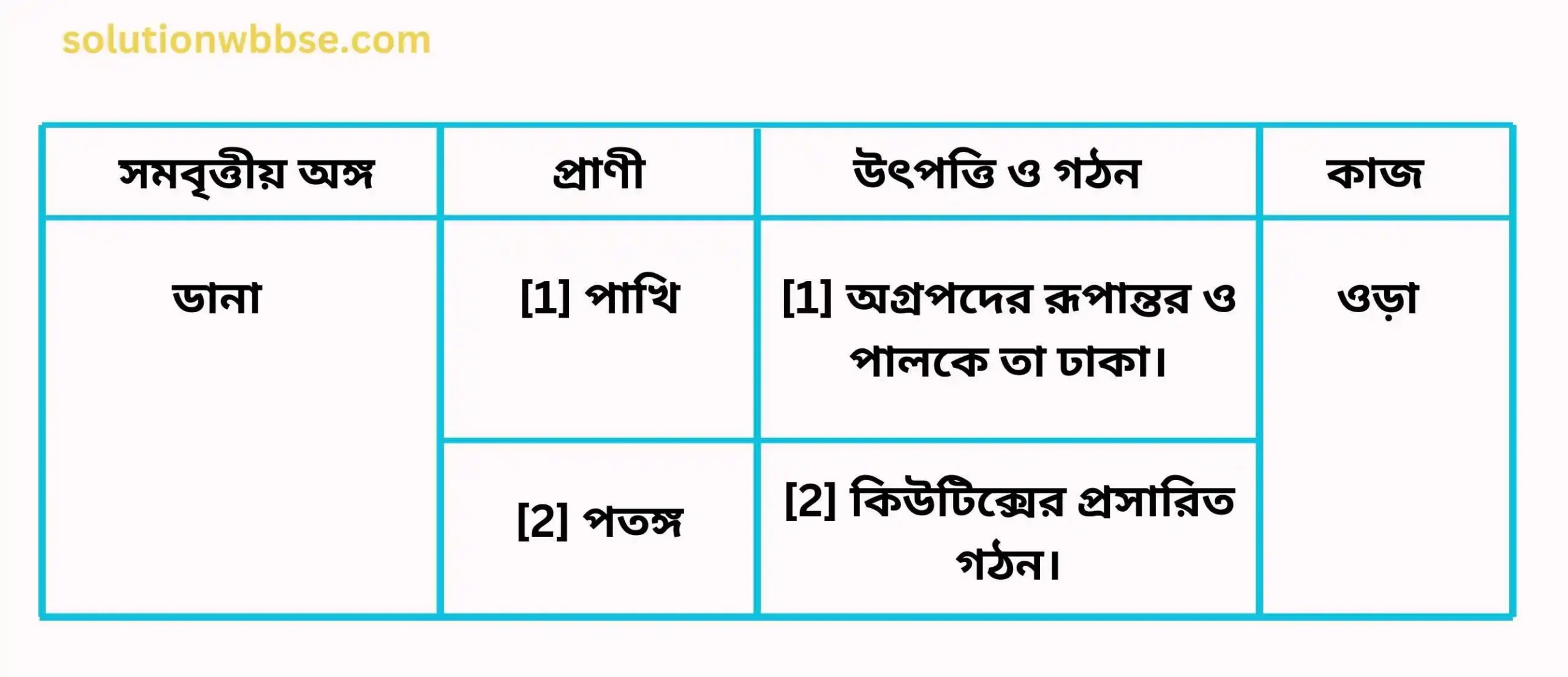 মাধ্যমিক জীবন বিজ্ঞান – অভিব্যক্তি ও অভিযোজন – অভিব্যক্তি – রচনাধর্মী প্রশ্নোত্তর 16 জৈব অভিব্যক্তির সমবৃত্তীয় অঙ্গঘটিত প্রমাণ