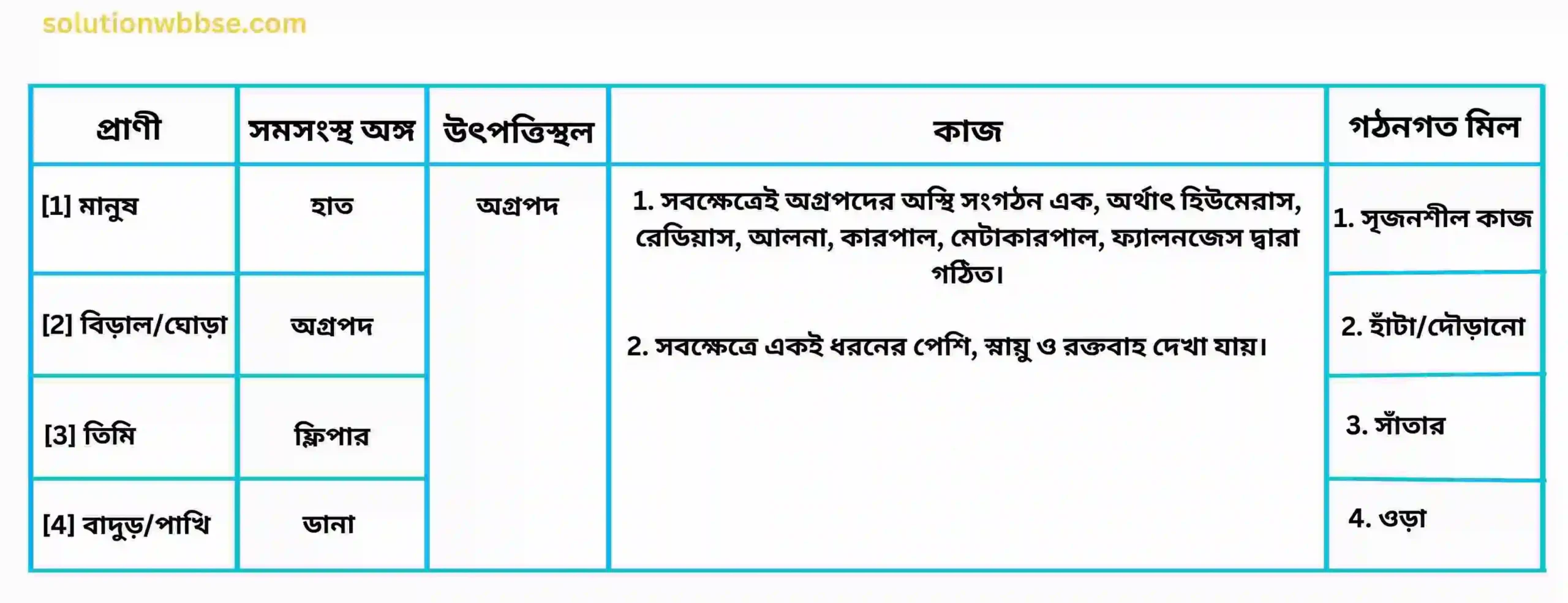মাধ্যমিক জীবন বিজ্ঞান – অভিব্যক্তি ও অভিযোজন – অভিব্যক্তি – রচনাধর্মী প্রশ্নোত্তর 12 প্রাণী ও উদ্ভিদের সমসংস্থ অঙ্গ