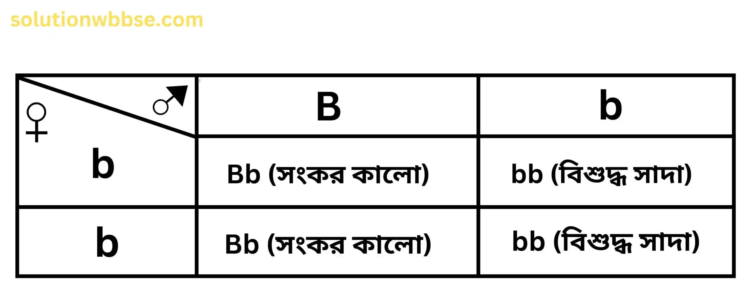 F₁ জনুর চেকার বোর্ড