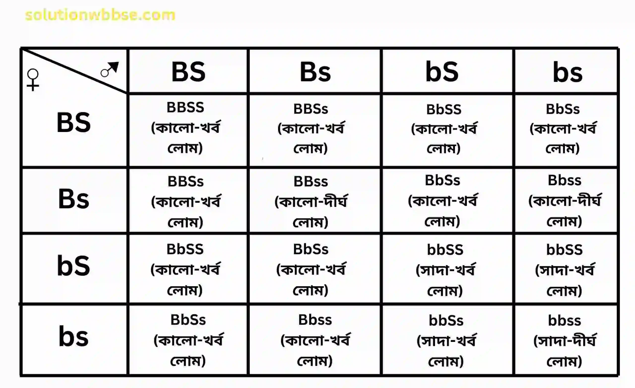 F₂ জনুর চেকার বোর্ড