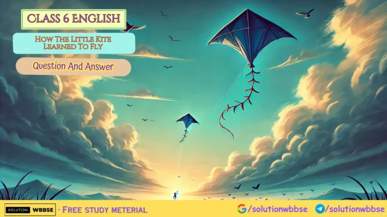 Class 6 English – How The Little Kite Learned To Fly – Question And Answer