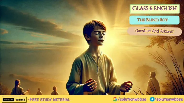 Class 6 English – The Blind Boy – Question And Answer