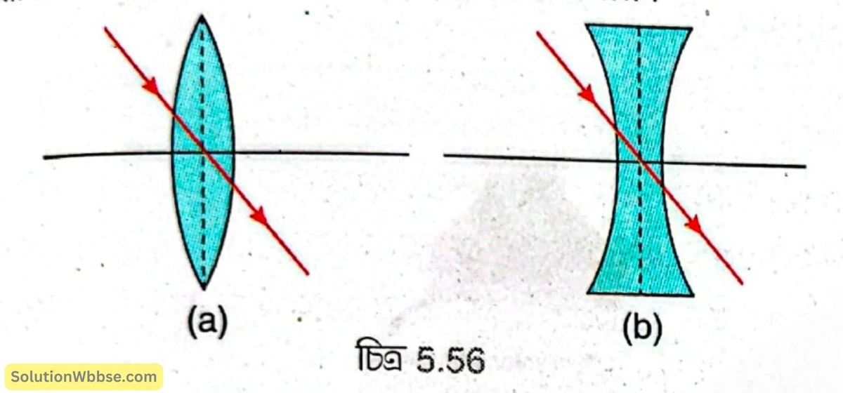 উত্তল লেন্স [চিত্র 5.56(a)] ও অবতল লেন্সের [চিত্র 5.56(b)]