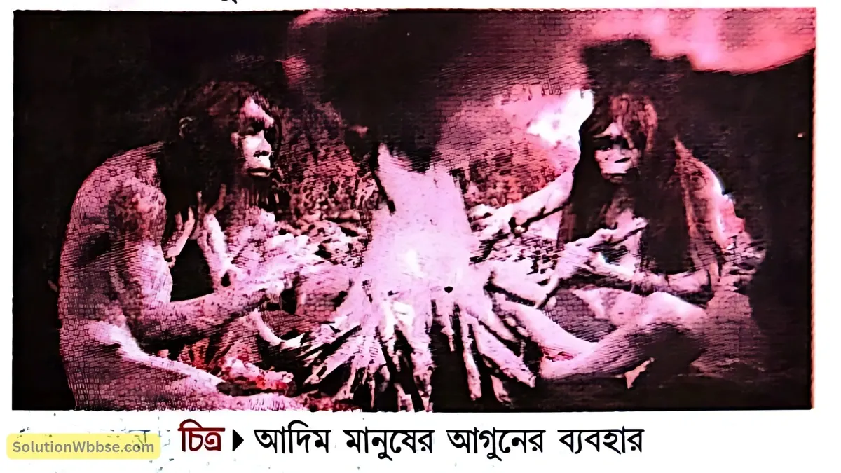 আদিম মানুষের আগুনের ব্যবহার