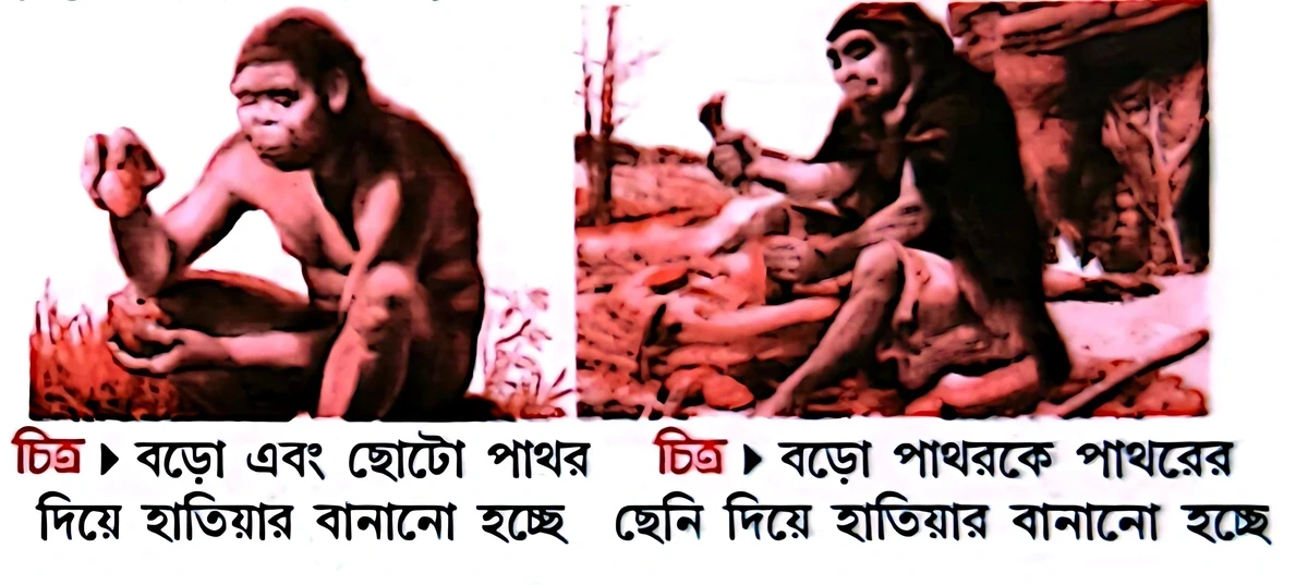আদিম মানুষের পাথরের হাতিয়ার বানানোর পদ্ধতি