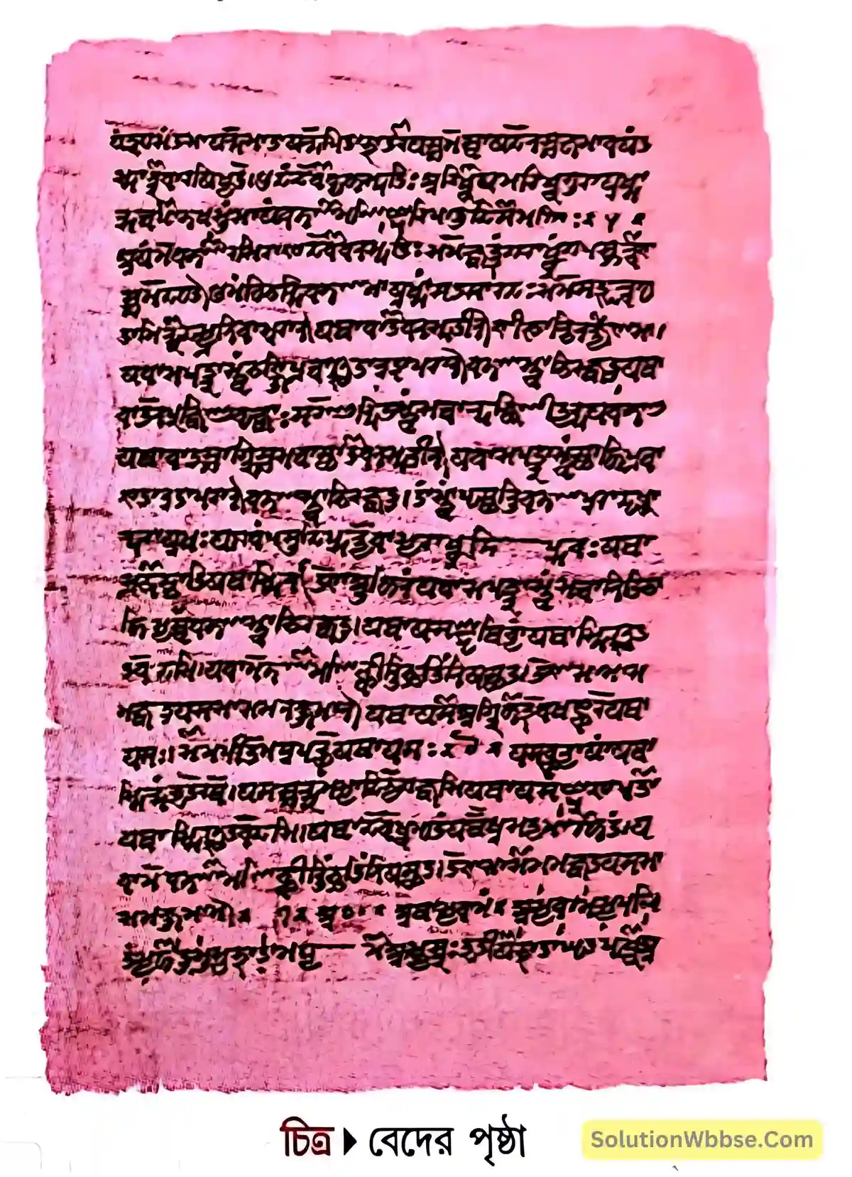 বেদের পৃষ্ঠা