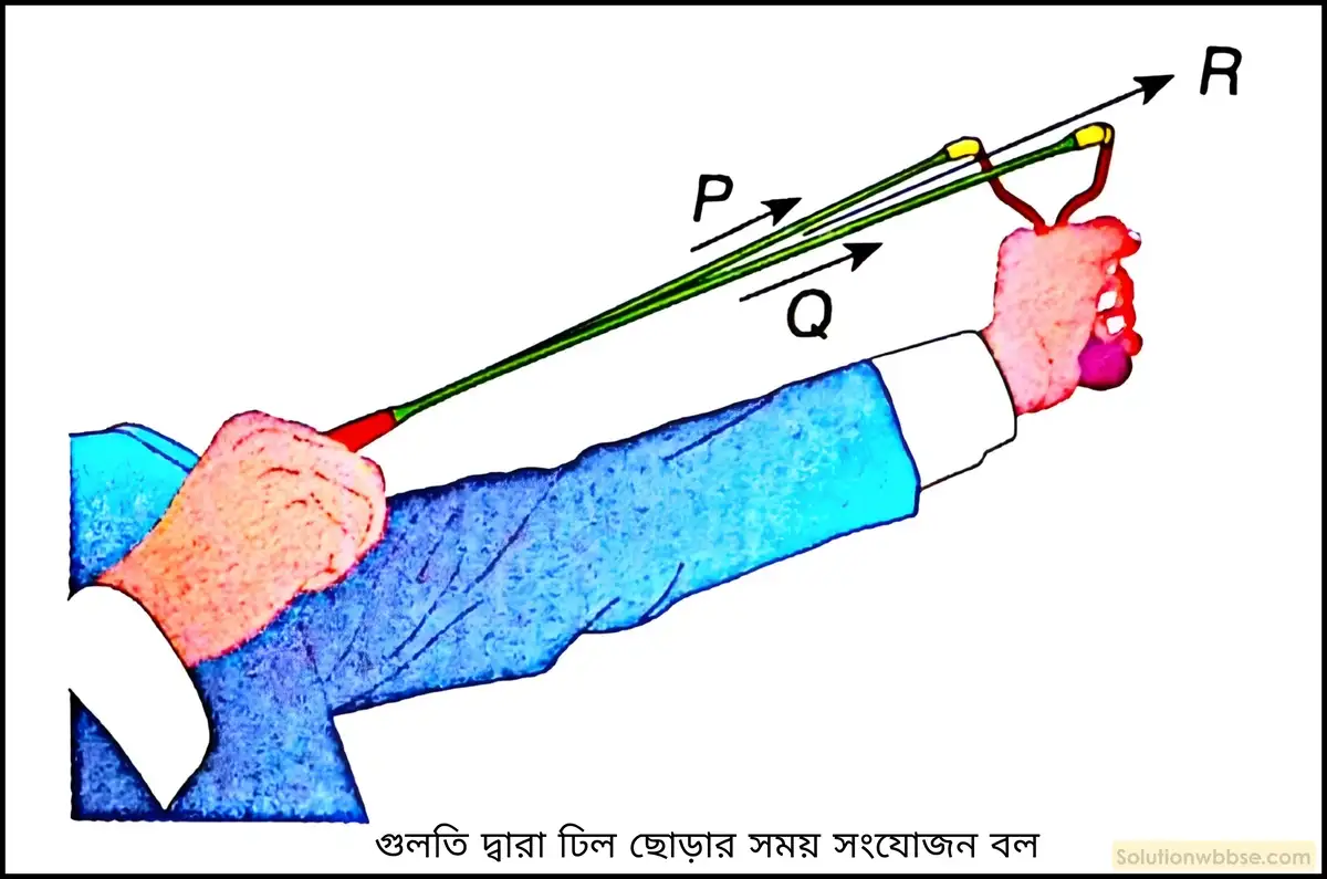 নবম শ্রেণী - ভৌতবিজ্ঞান - বল ও গতি - নিউটনের প্রথম গতিসূত্র - প্রশ্ন ও উত্তর 2 বলের সংযোজন বলতে কী বোঝায়? উদাহরণসহ ব্যাখ্যা করো। কীভাবে বলের সংযোজন হয়?