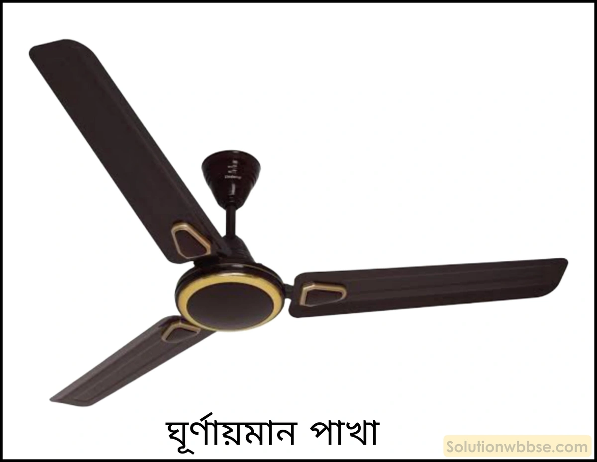 নবম শ্রেণী - ভৌতবিজ্ঞান - বল ও গতি - গতির সমীকরণ - প্রশ্ন ও উত্তর 20 ঘূর্ণায়মান বৈদ্যুতিক পাখার একটি ব্লেডের ঘূর্ণাক্ষের নিকটবর্তী অংশ ও প্রান্তীয় অংশের গতিবেগ একই হয় কি?