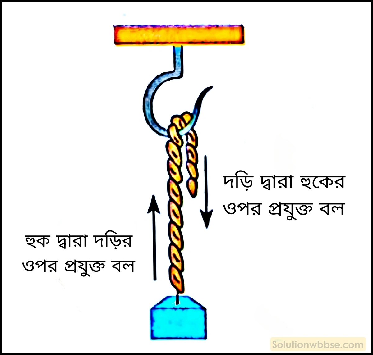 নবম শ্রেণী - ভৌতবিজ্ঞান - বল ও গতি - বিভিন্ন ধরণের বল - প্রশ্ন ও উত্তর 3 টান -এর ক্রিয়া-প্রতিক্রিয়ার উদাহরণসহ সংক্ষিপ্ত পরিচয় লেখো।