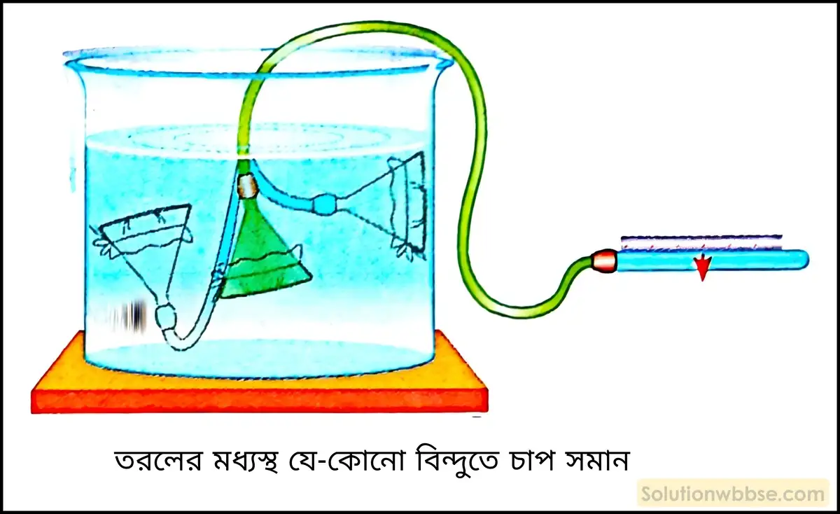 নবম শ্রেণী - ভৌতবিজ্ঞান - পদার্থ : গঠন ও ধর্ম - তরল ও বায়ুর চাপ - প্রশ্ন ও উত্তর 4 তরলের চাপের বৈশিষ্ট্যগুলি উপযুক্ত পরীক্ষা দ্বারা প্রমাণ করো।