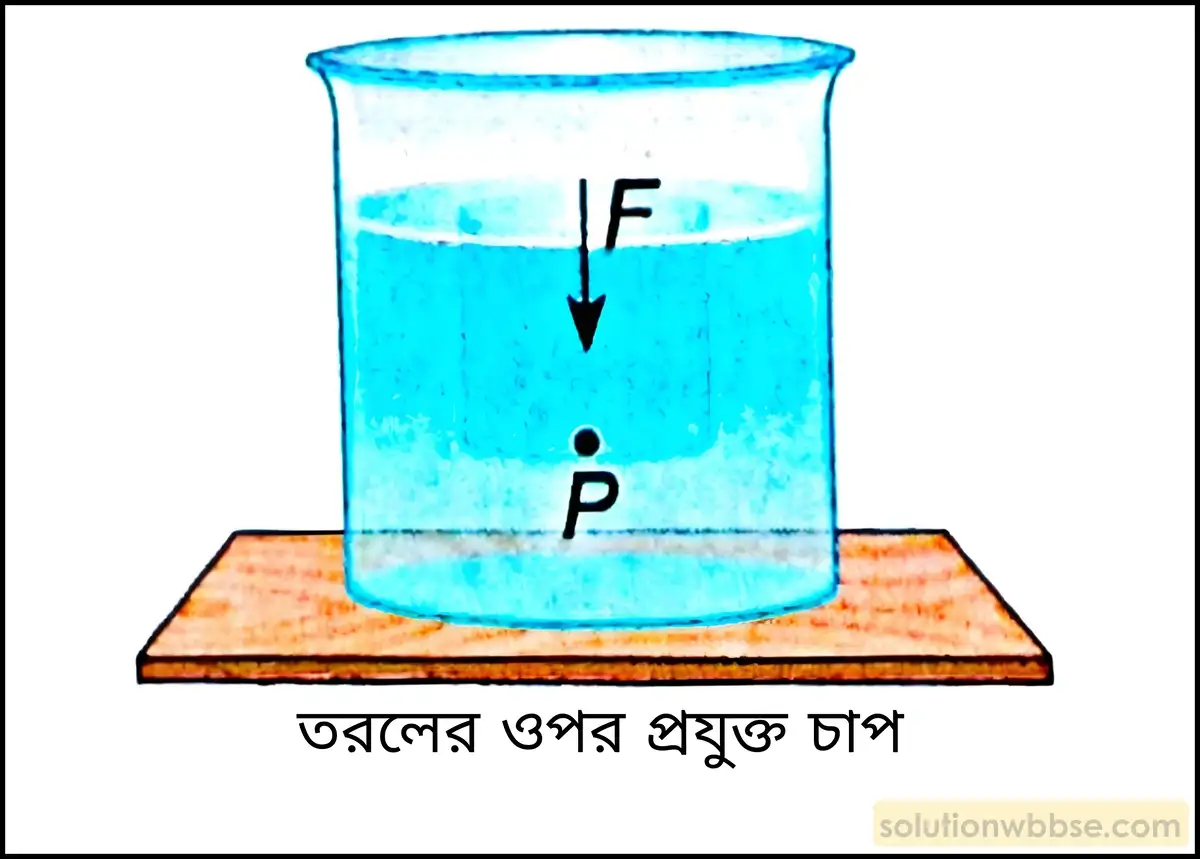নবম শ্রেণী - ভৌতবিজ্ঞান - পদার্থ : গঠন ও ধর্ম - তরল ও বায়ুর চাপ - প্রশ্ন ও উত্তর 2 তরলের চাপ কাকে বলে? তরলের ঘাত বলতে কী বোঝায়?