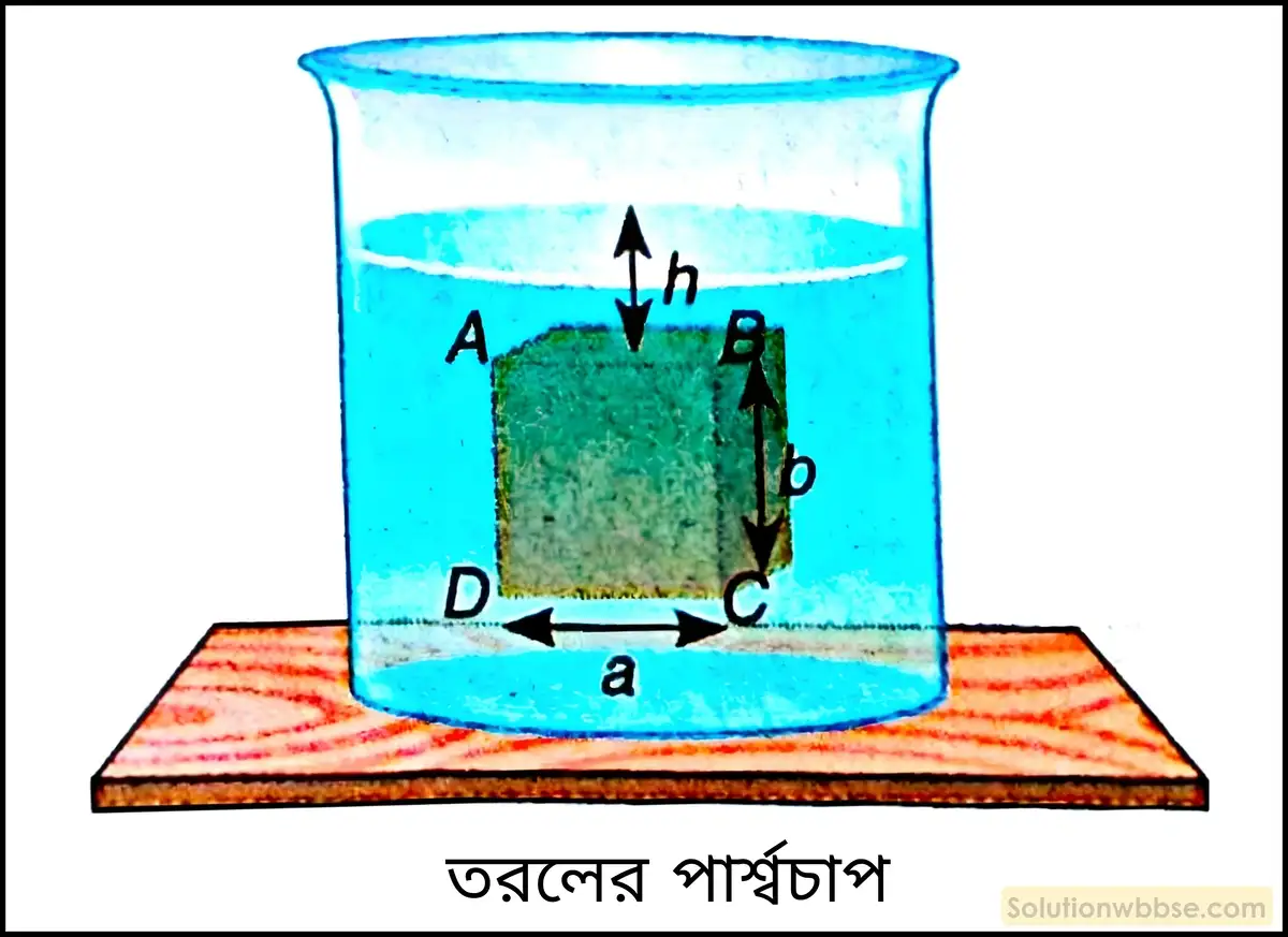 নবম শ্রেণী - ভৌতবিজ্ঞান - পদার্থ : গঠন ও ধর্ম - তরল ও বায়ুর চাপ - প্রশ্ন ও উত্তর 7 পার্শ্বচাপ ও পার্শ্বঘাতের রাশিমালা নির্ণয় করো।