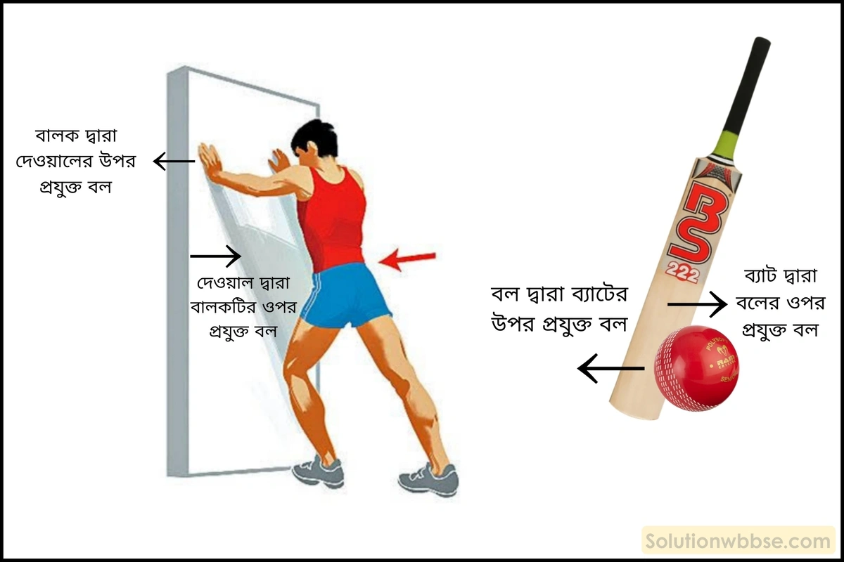 নবম শ্রেণী - ভৌতবিজ্ঞান - বল ও গতি - বিভিন্ন ধরণের বল - প্রশ্ন ও উত্তর 5 ধাক্কা -র ক্রিয়া-প্রতিক্রিয়ার উদাহরণসহ সংক্ষিপ্ত পরিচয় লেখো।