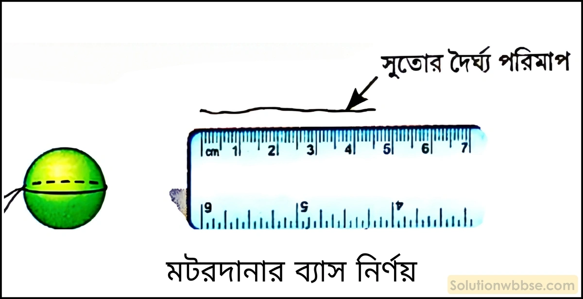 নবম শ্রেণী - ভৌতবিজ্ঞান - পরিমাপ - পরিমাপ - প্রশ্ন ও উত্তর 6 সাধারণ স্কেলের সাহায্যে কীভাবে একটি মটরদানার ব্যাস নির্ণয় করবে?