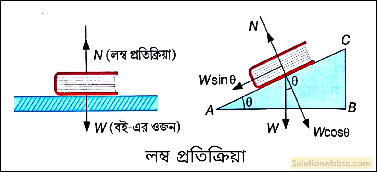 নবম শ্রেণী - ভৌতবিজ্ঞান - বল ও গতি - বিভিন্ন ধরণের বল - প্রশ্ন ও উত্তর 6 লম্ব প্রতিক্রিয়া -র ক্রিয়া-প্রতিক্রিয়ার উদাহরণসহ সংক্ষিপ্ত পরিচয় লেখো।