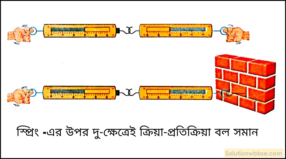 নবম শ্রেণী - ভৌতবিজ্ঞান - বল ও গতি - নিউটনের তৃতীয় গতিসূত্র - প্রশ্ন ও উত্তর 3 একটি পরীক্ষামূলক ব্যবস্থার সাহায্যে প্রমাণ করো ক্রিয়া ও প্রতিক্রিয়া সমান ও বিপরীত।