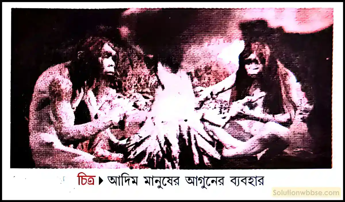 আগুনের ব্যবহারের ফলে মানুষের জীবনে কী কী পরিবর্তন এসেছিল?