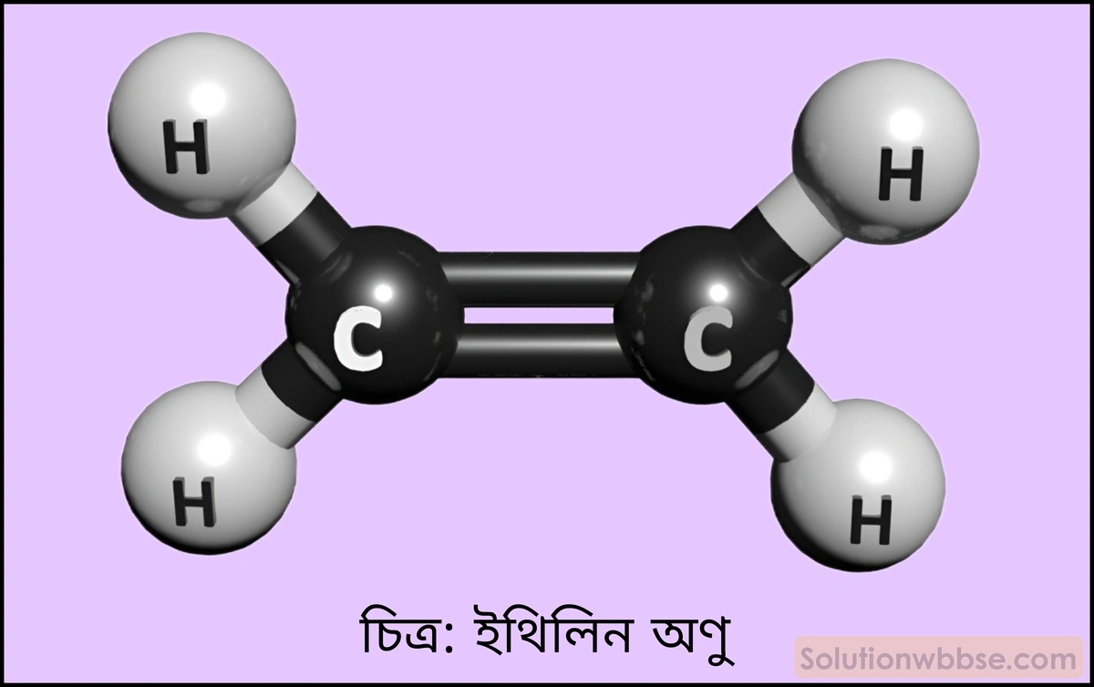 C2H4 অণুর গঠন চিত্রসহ বর্ণনা করো।