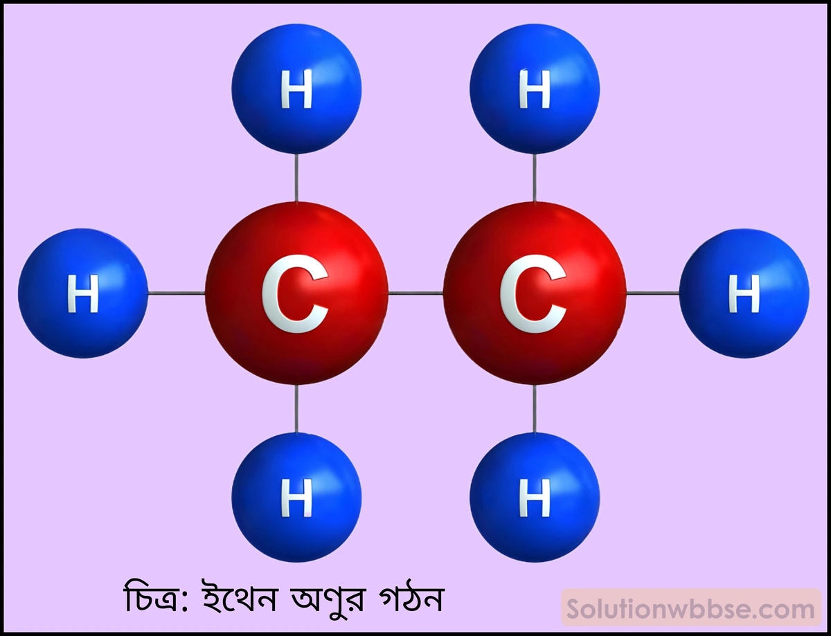 C2H6 অণুর গঠন চিত্রসহ বর্ণনা করো।