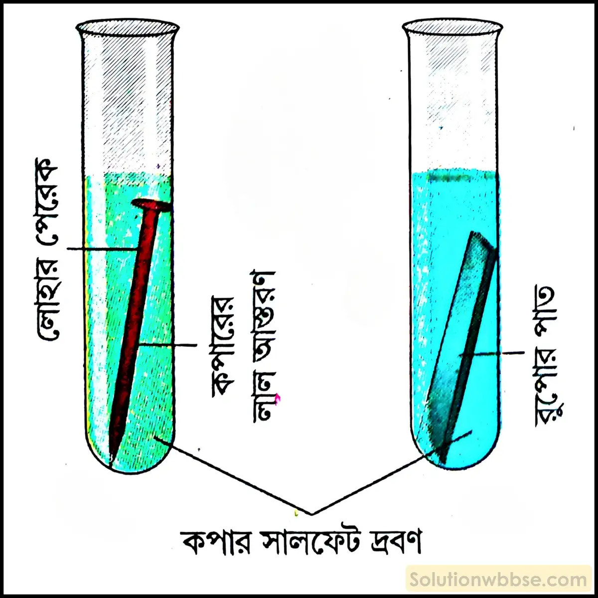 দেখাও যে, সক্রিয়তা সারিতে ওপরে অবস্থিত কোনো ধাতু নীচে অবস্থিত কোনো ধাতুকে তার লবণের জলীয় দ্রবণ থেকে অধঃক্ষিপ্ত করতে পারে।