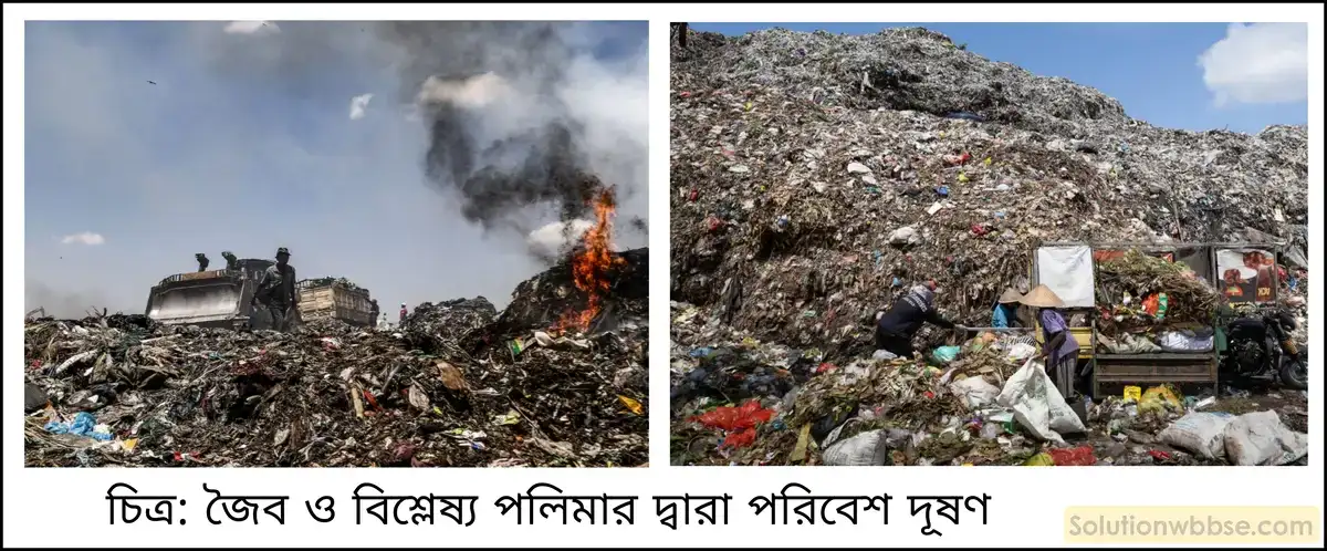 জৈব অবিশ্লেষ্য পলিমার যৌগ ব্যবহারের ফলে পরিবেশ কীভাবে দূষিত হতে পারে?