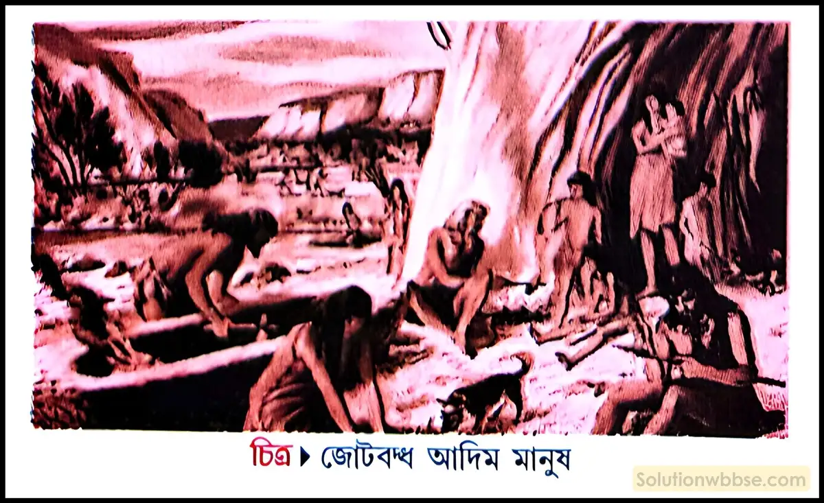 আদিম মানুষ জোট বেঁধেছিল কেন? জোটবাঁধার কী সুফল হয়েছিল বলে তোমার মনে হয়?