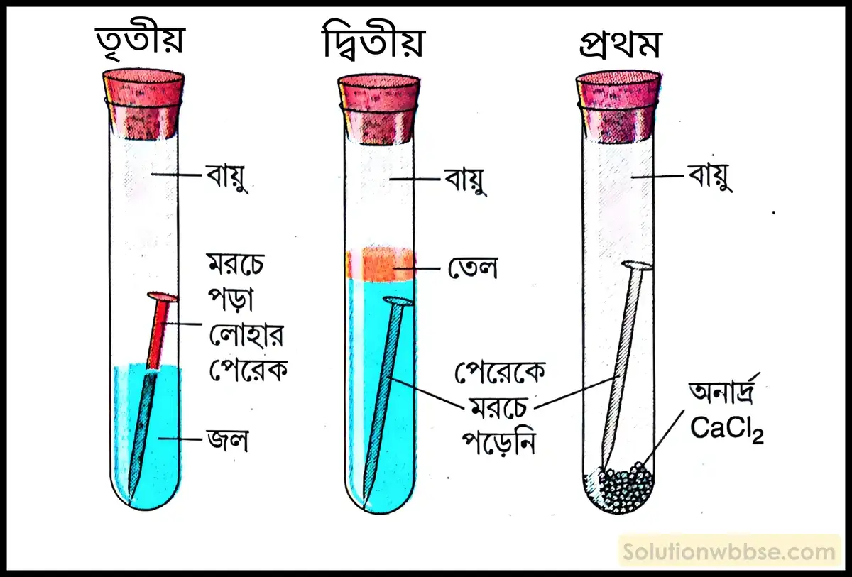 পরীক্ষার সাহায্যে লোহায় মরচে পড়ার প্রয়োজনীয় শর্তগুলি নির্ধারণ করো।