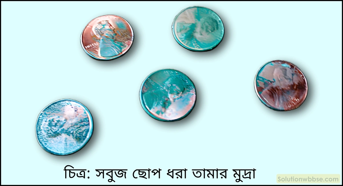 কপার নির্মিত বস্তুকে অনেকদিন খোলা বাতাসে রেখে দিলে তার ওপর সবুজ বর্ণের আস্তরণ পড়তে দেখা যায় কেন?