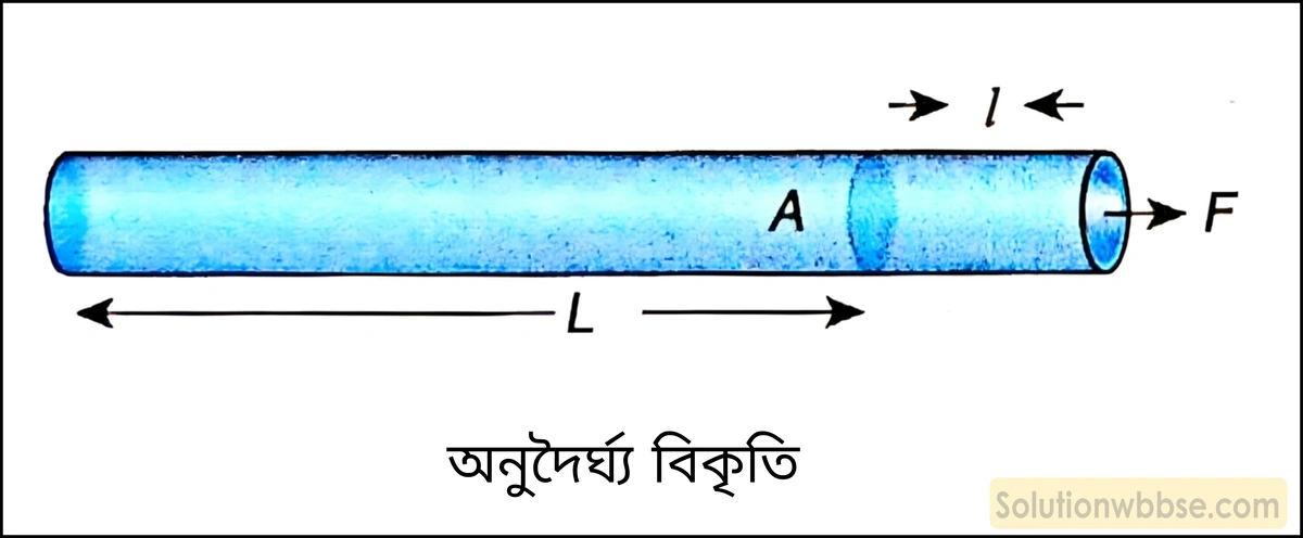 নবম শ্রেণী - ভৌতবিজ্ঞান - পদার্থ : গঠন ও ধর্ম - স্থিতিস্থাপকতা - প্রশ্ন ও উত্তর 3 বিকৃতির বিভিন্ন প্রকারভেদগুলির সংক্ষিপ্ত পরিচয় দাও।