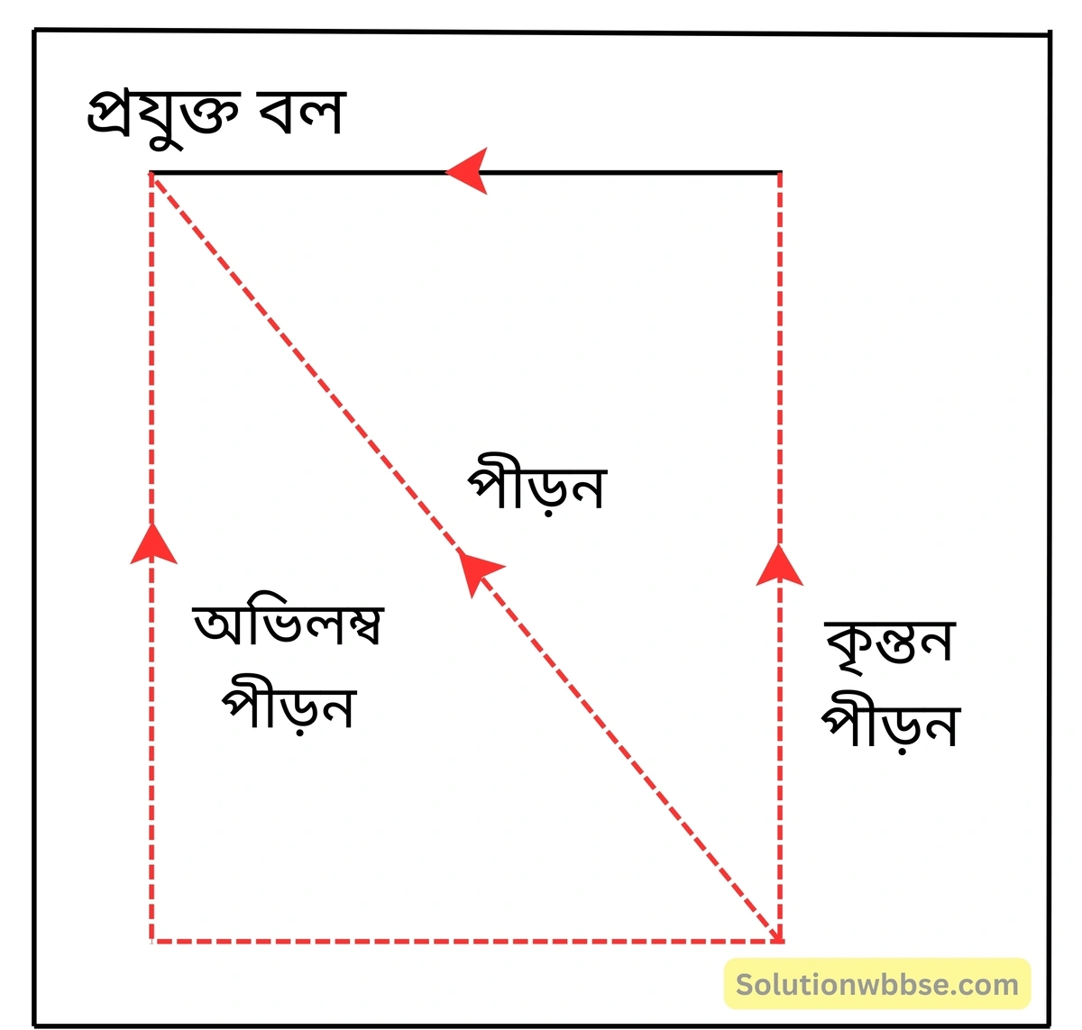 নবম শ্রেণী - ভৌতবিজ্ঞান - পদার্থ : গঠন ও ধর্ম - স্থিতিস্থাপকতা - প্রশ্ন ও উত্তর 6 অভিলম্ব পীড়ন এবং স্পর্শর্কীয় পীড়ন কীভাবে বাহ্যিক বলের প্রতিক্রিয়ার উপর নির্ভরশীল? বস্তুর অনুদৈর্ঘ্য বা আয়তন বিকৃতির ক্ষেত্রে এই পীড়নগুলির ভূমিকা কী?