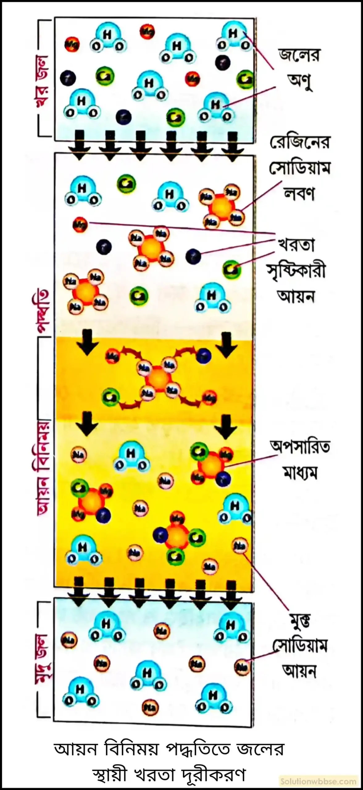 নবম শ্রেণী - ভৌতবিজ্ঞান - পদার্থ : পরমাণুর গঠন ও পদার্থের ভৌত ও রাসায়নিক ধর্মসমূহ - জল - প্রশ্ন ও উত্তর 14 আয়ন বিনিময় পদ্ধতিতে জলের স্থায়ী খরতা দূর করা হয় কীভাবে?