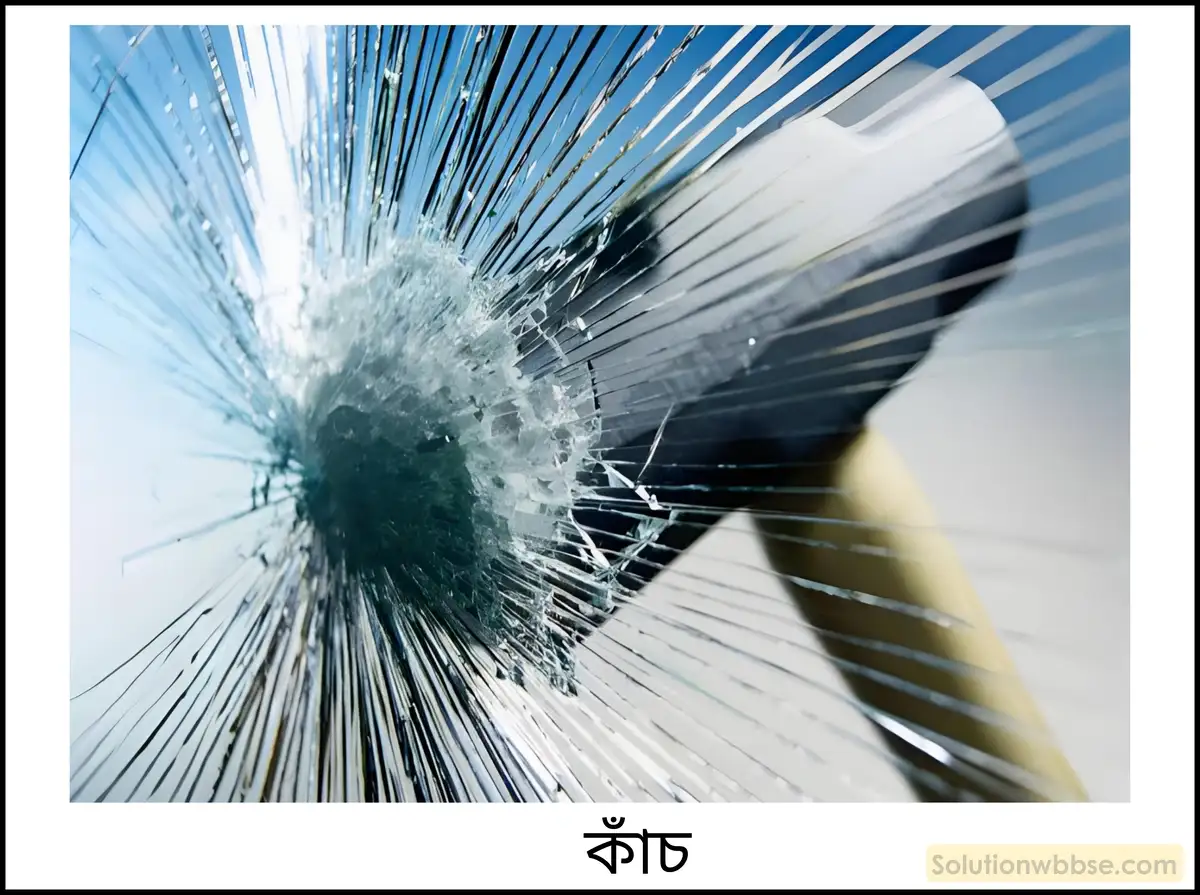 নবম শ্রেণী - ভৌতবিজ্ঞান - পদার্থ : গঠন ও ধর্ম - স্থিতিস্থাপকতা - প্রশ্ন ও উত্তর 9 স্থিতিস্থাপকতার ধারণা থেকে ভঙ্গুরতা, প্রসার্যতা ও নমনীয়তা ব্যাখ্যা করো।