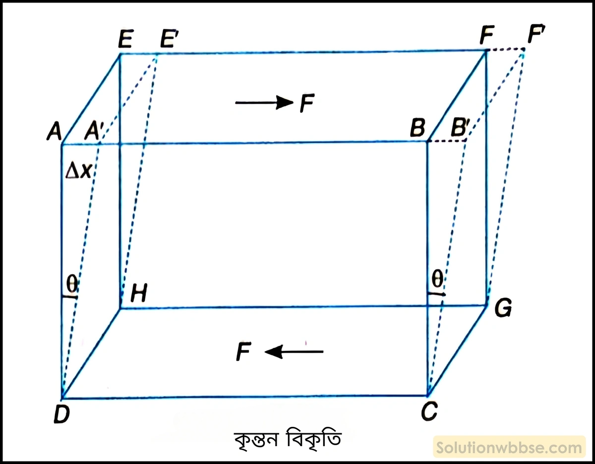 বিকৃতির বিভিন্ন প্রকারভেদগুলির সংক্ষিপ্ত পরিচয় দাও।