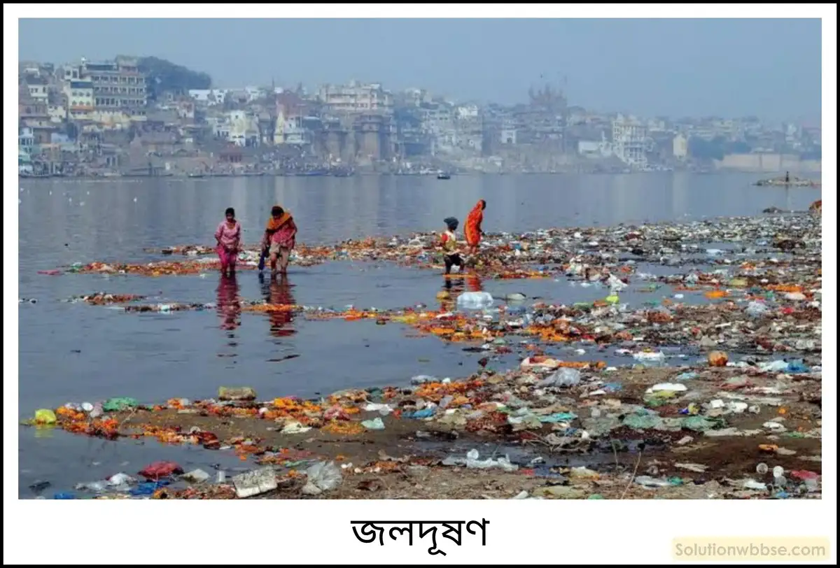 নবম শ্রেণী - ভৌতবিজ্ঞান - পদার্থ : পরমাণুর গঠন ও পদার্থের ভৌত ও রাসায়নিক ধর্মসমূহ - জল - প্রশ্ন ও উত্তর 15 জলদূষণের কারণগুলি লেখো।