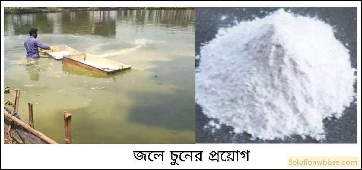 নবম শ্রেণী - ভৌতবিজ্ঞান - পদার্থ : পরমাণুর গঠন ও পদার্থের ভৌত ও রাসায়নিক ধর্মসমূহ - অ্যাসিড, ক্ষার, লবণ - প্রশ্ন ও উত্তর 27 মৎস্য চাষে পুকুর বা জলাশয়ের জলে চুন ব্যবহার করা হয় কেন?