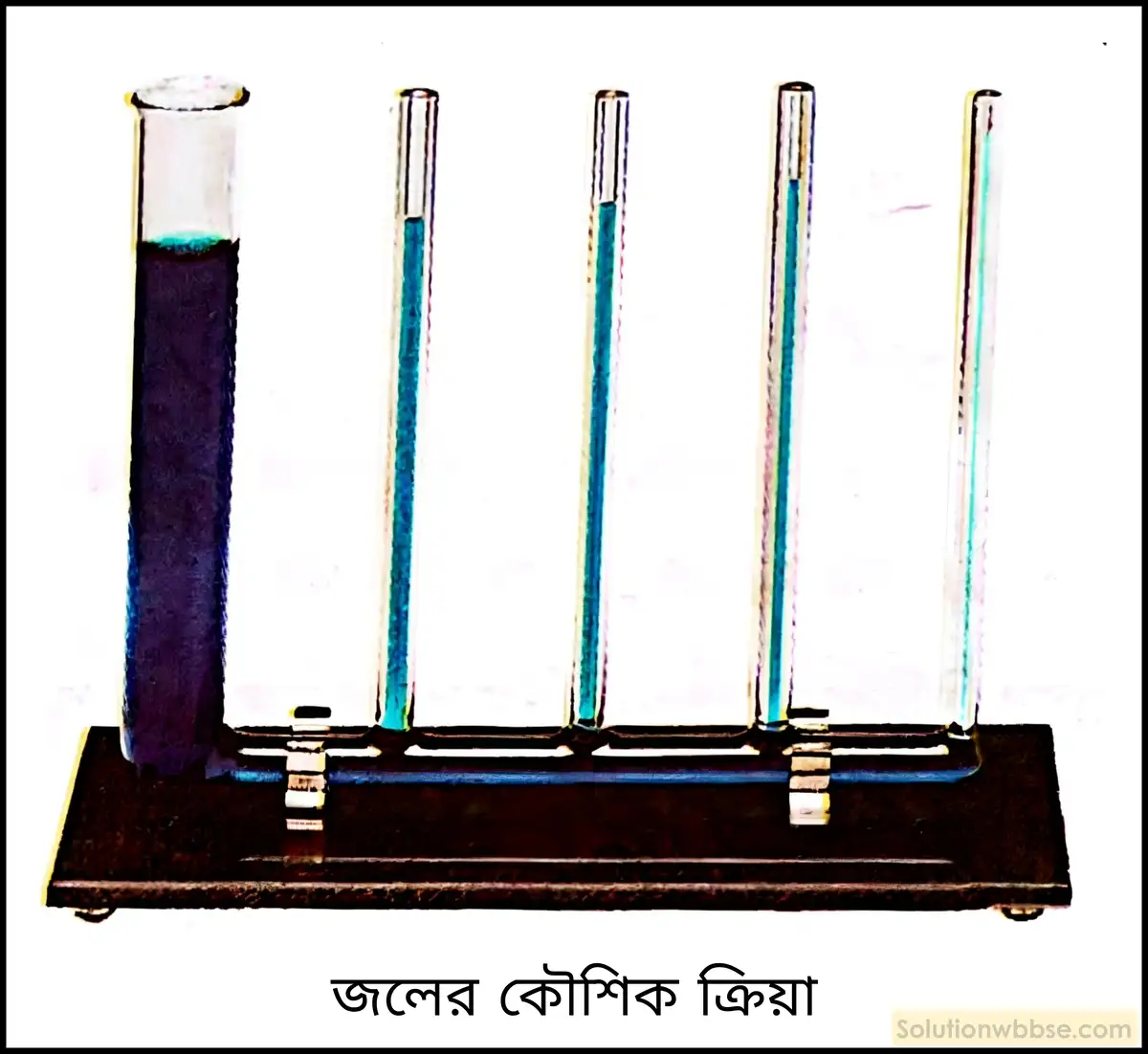 নবম শ্রেণী - ভৌতবিজ্ঞান - পদার্থ : পরমাণুর গঠন ও পদার্থের ভৌত ও রাসায়নিক ধর্মসমূহ - জল - প্রশ্ন ও উত্তর 2 জলের কৈশিক ক্রিয়া বলতে কী বোঝায়? এর গুরুত্ব আলোচনা করো।