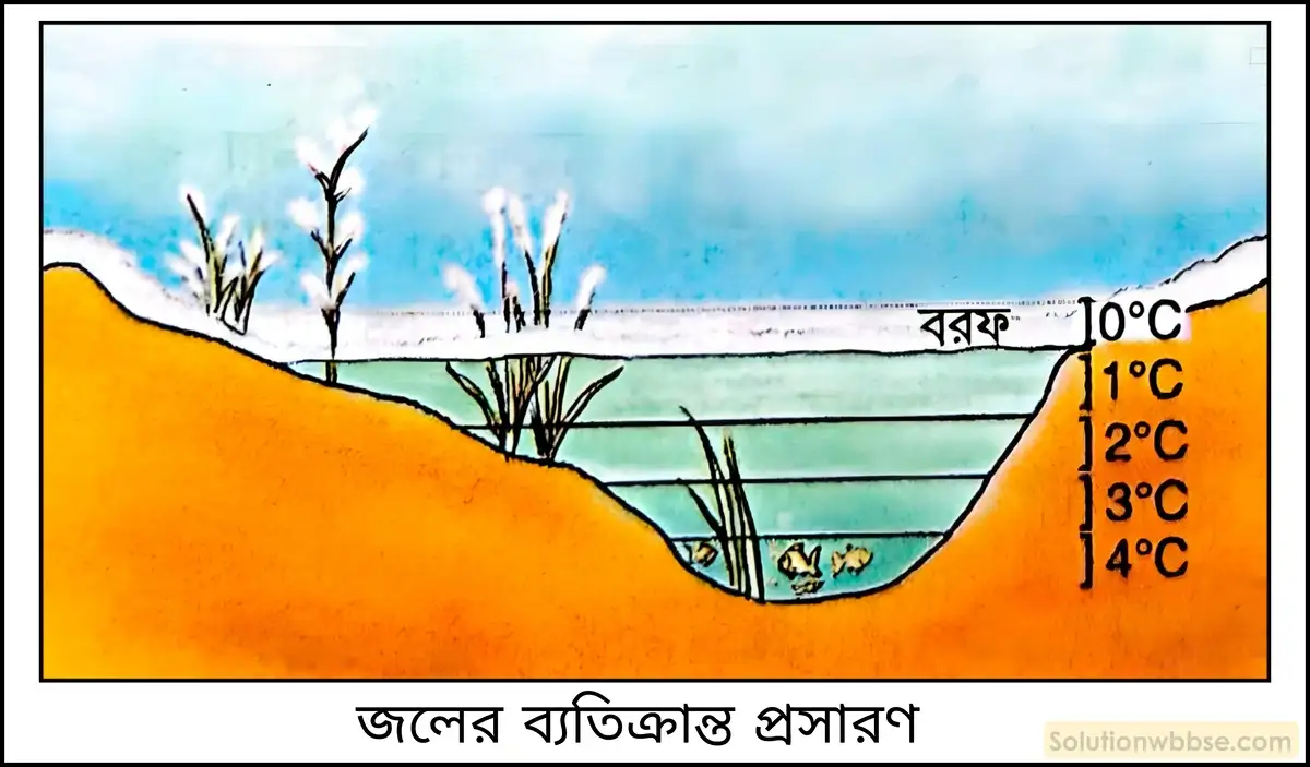 নবম শ্রেণী - ভৌতবিজ্ঞান - পদার্থ : পরমাণুর গঠন ও পদার্থের ভৌত ও রাসায়নিক ধর্মসমূহ - জল - প্রশ্ন ও উত্তর 4 জলজ প্রাণীদের ওপর জলের ব্যতিক্রান্ত প্রসারণের প্রভাব আলোচনা করো।
