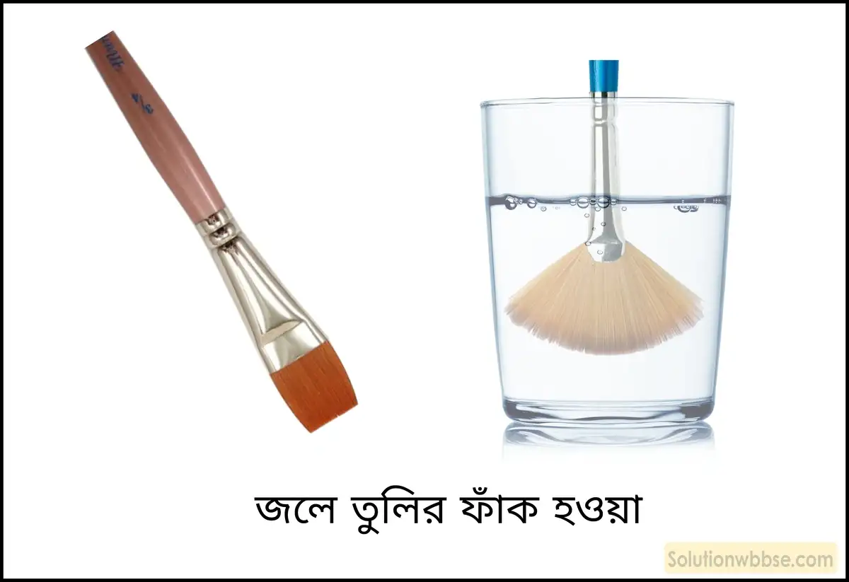 নবম শ্রেণী - ভৌতবিজ্ঞান - পদার্থ : গঠন ও ধর্ম - পৃষ্ঠটান - প্রশ্ন ও উত্তর 9 দাড়ি কামানোর বা ছবি আঁকার ব্রাশ বা তুলির আঁশগুলি জলে নিমজ্জিত অবস্থায় ফাঁক হয়ে থাকে, কিন্তু জল থেকে তোলা মাত্র আঁশগুলি জড়িয়ে যায়। - পৃষ্ঠটানের ধারণা ব্যবহার করে প্রদত্ত ঘটনাটির ব্যাখ্যা দাও।