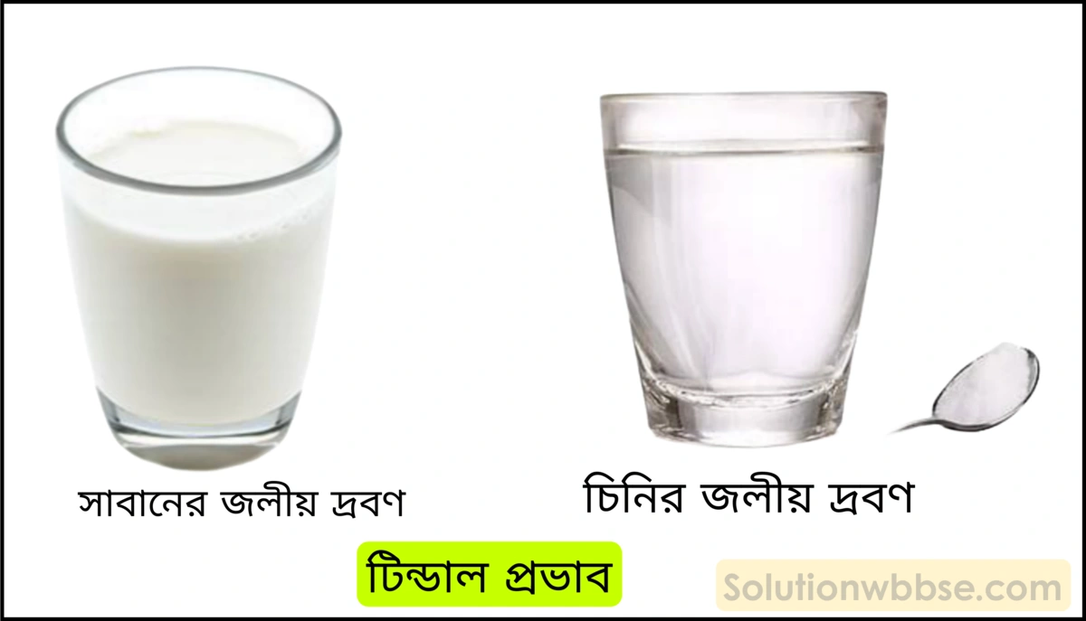 নবম শ্রেণী - ভৌতবিজ্ঞান - পদার্থ : পরমাণুর গঠন ও পদার্থের ভৌত ও রাসায়নিক ধর্মসমূহ - দ্রবণ - প্রশ্ন ও উত্তর 10 টিন্ডাল প্রভাব কী?