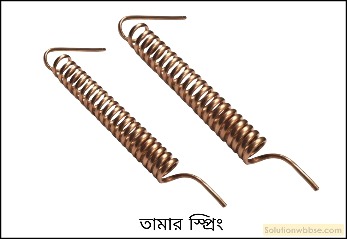 নবম শ্রেণী - ভৌতবিজ্ঞান - পদার্থ : গঠন ও ধর্ম - স্থিতিস্থাপকতা - প্রশ্ন ও উত্তর 10 স্থিতিস্থাপকতার ধারণা থেকে ভঙ্গুরতা, প্রসার্যতা ও নমনীয়তা ব্যাখ্যা করো।