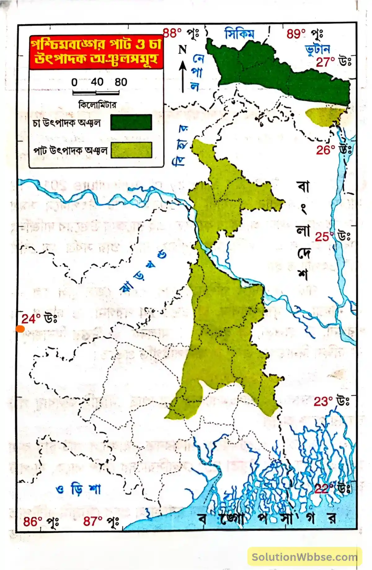 নবম শ্রেণী - ভূগোল - পশ্চিমবঙ্গ (প্রধান প্রধান অর্থনৈতিক ক্রিয়াকলাপ) - রচনাধর্মী প্রশ্নোত্তর 3 পশ্চিমবঙ্গের পাট ও চা উৎপাদক অঞ্চলসমূহ