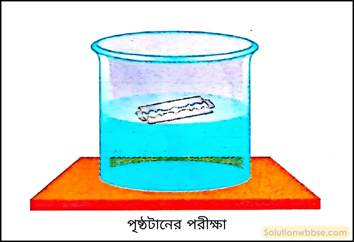 নবম শ্রেণী - ভৌতবিজ্ঞান - পদার্থ : গঠন ও ধর্ম - পৃষ্ঠটান - প্রশ্ন ও উত্তর 6 একটি সহজ পরীক্ষার দ্বারা ভাসনের মাধ্যমে পৃষ্ঠটান ব্যাখ্যা করো।