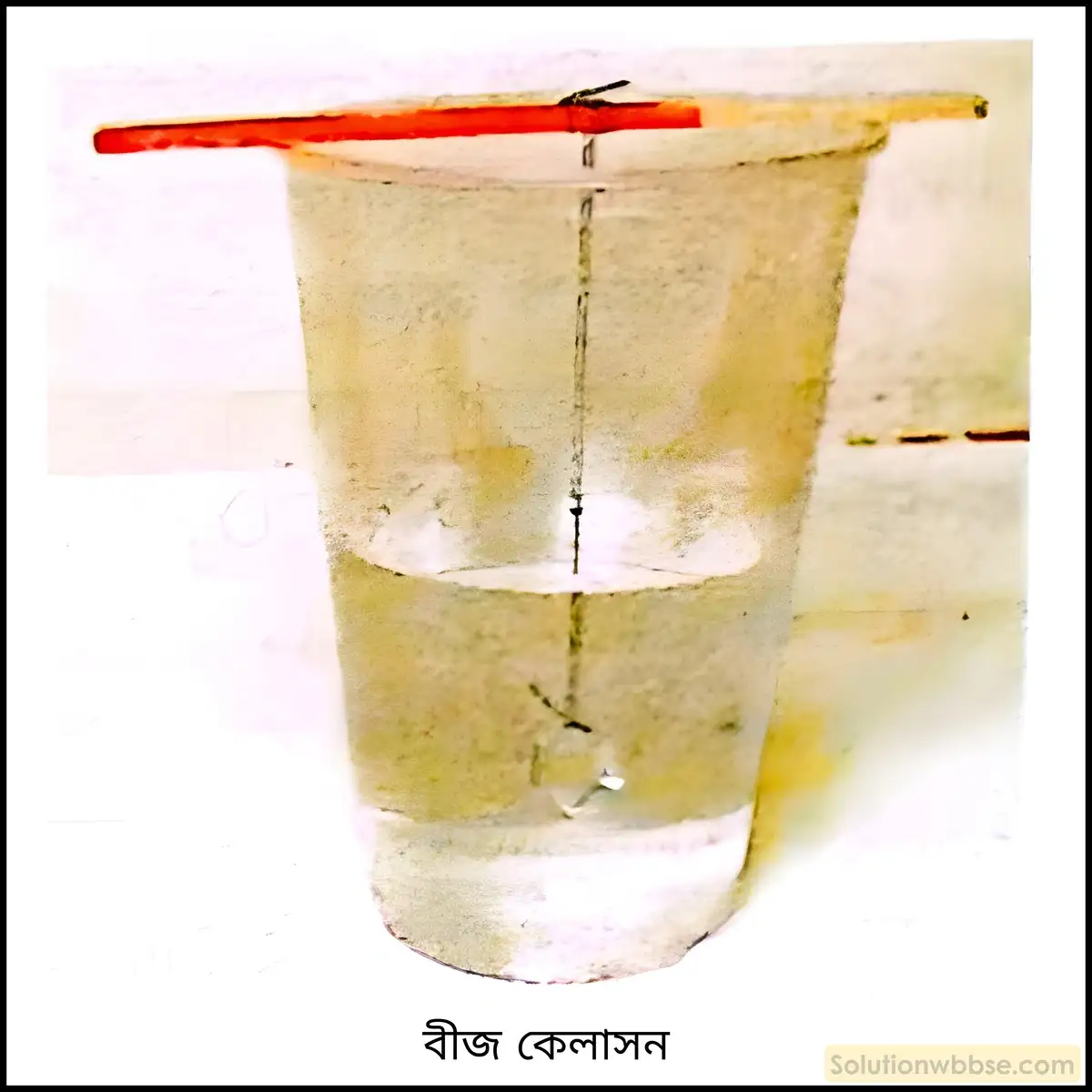 নবম শ্রেণী - ভৌতবিজ্ঞান - পদার্থ : পরমাণুর গঠন ও পদার্থের ভৌত ও রাসায়নিক ধর্মসমূহ - দ্রবণ - প্রশ্ন ও উত্তর 16 বীজ কেলাসন বলতে কী বোঝায়? এর ব্যবহার লেখো।