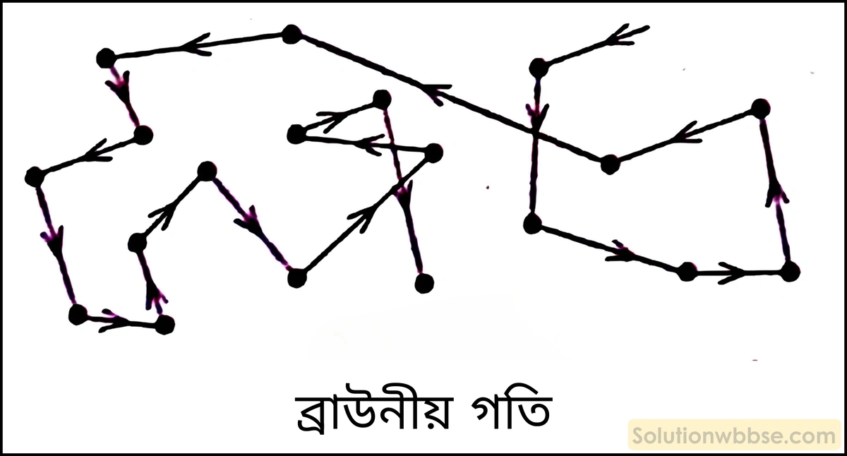 নবম শ্রেণী - ভৌতবিজ্ঞান - পদার্থ : পরমাণুর গঠন ও পদার্থের ভৌত ও রাসায়নিক ধর্মসমূহ - দ্রবণ - প্রশ্ন ও উত্তর 18 ব্রাউনীয় গতি বলতে কী বোঝায়?