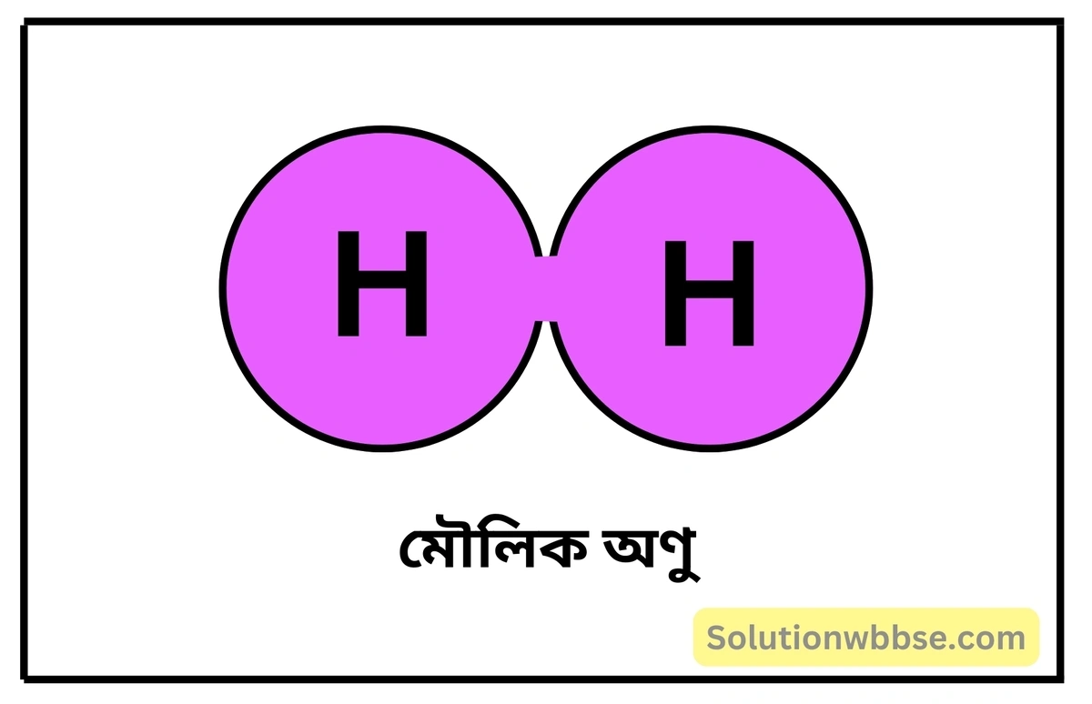 নবম শ্রেণী - ভৌতবিজ্ঞান - পদার্থ : পরমাণুর গঠন ও পদার্থের ভৌত ও রাসায়নিক ধর্মসমূহ - মোলের ধারণা - প্রশ্ন ও উত্তর 2 অণুর সংজ্ঞা দাও। অণু কত প্রকার ও কী কী? উদাহরণসহ বিভিন্ন প্রকার অণুর সংজ্ঞা দাও।