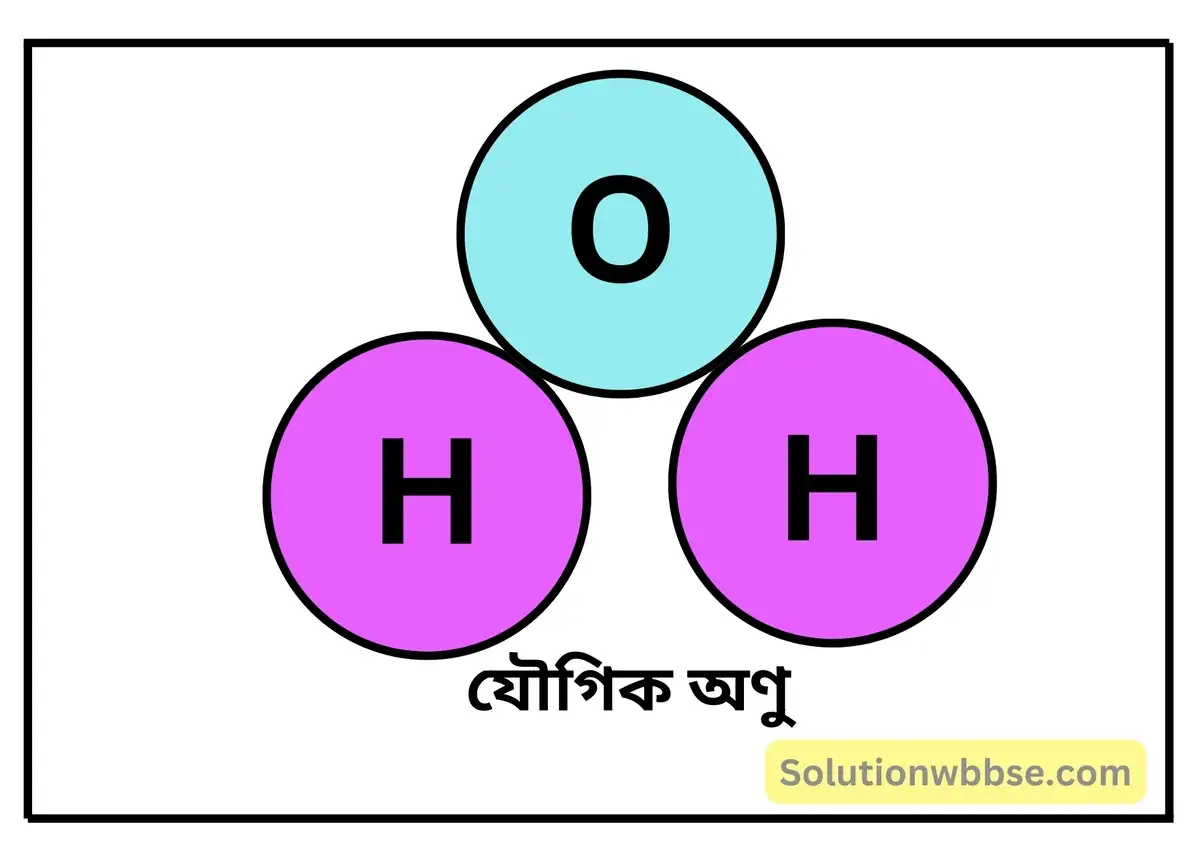 নবম শ্রেণী - ভৌতবিজ্ঞান - পদার্থ : পরমাণুর গঠন ও পদার্থের ভৌত ও রাসায়নিক ধর্মসমূহ - মোলের ধারণা - প্রশ্ন ও উত্তর 3 অণুর সংজ্ঞা দাও। অণু কত প্রকার ও কী কী? উদাহরণসহ বিভিন্ন প্রকার অণুর সংজ্ঞা দাও।