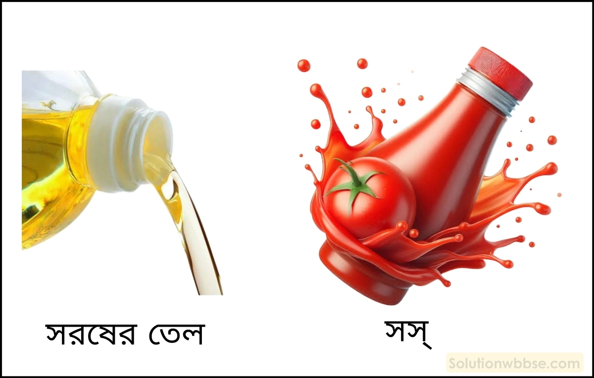 নবম শ্রেণী - ভৌতবিজ্ঞান - পদার্থ : গঠন ও ধর্ম - সান্দ্রতা - প্রশ্ন ও উত্তর 12 শিশি থেকে তেল বা জল ঢাললে তা সঙ্গে সঙ্গে পড়তে থাকলেও টম্যাটো সস্ বা মধু ঢালতে গেলে সময় লাগে কেন?
