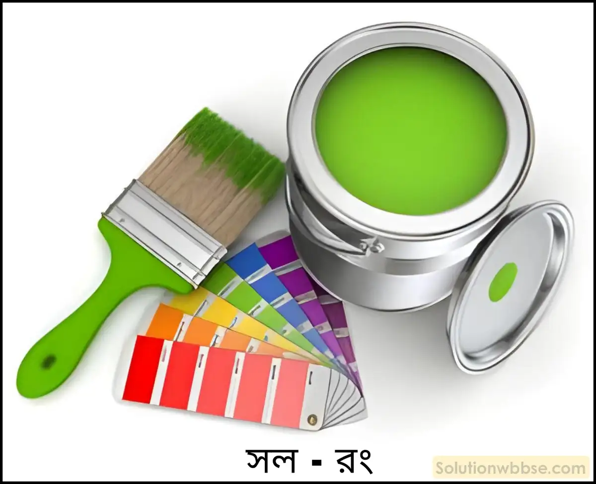 নবম শ্রেণী - ভৌতবিজ্ঞান - পদার্থ : পরমাণুর গঠন ও পদার্থের ভৌত ও রাসায়নিক ধর্মসমূহ - দ্রবণ - প্রশ্ন ও উত্তর 7 সল -এর উদাহরণসহ সংজ্ঞা দাও।