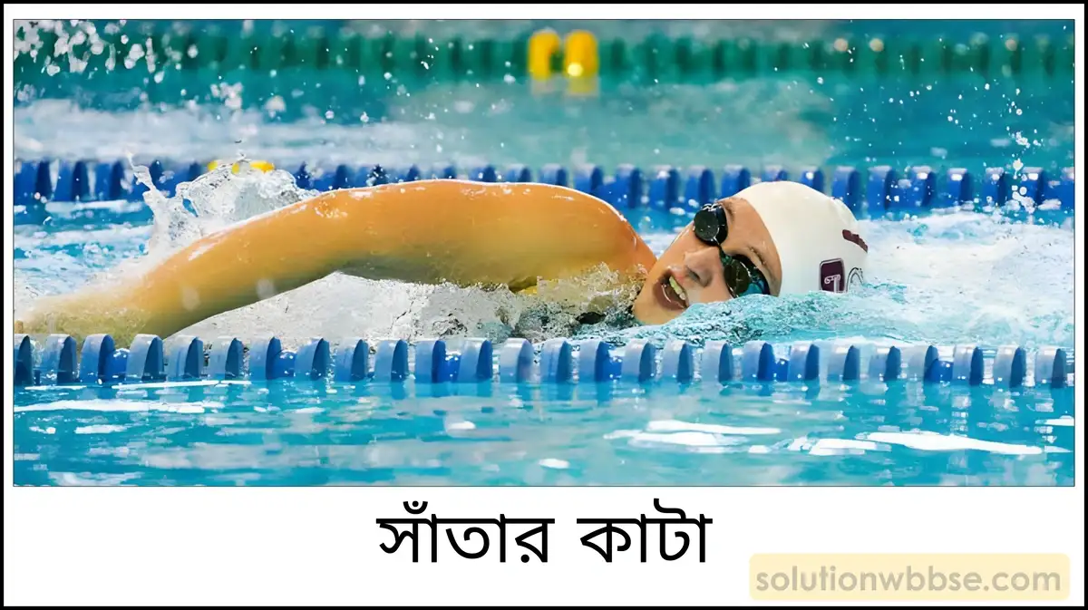 নবম শ্রেণী - ভৌতবিজ্ঞান - পদার্থ : গঠন ও ধর্ম - আর্কিমিডিসের নীতি - প্রশ্ন ও উত্তর 10 মানুষ সাঁতার কাটে কীভাবে?